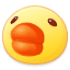 ::(鸭嘴)